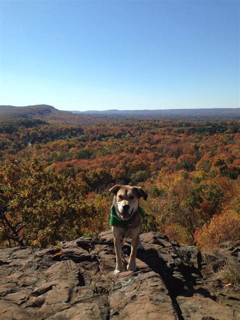 Ragged Mountain - Hiking with Pups