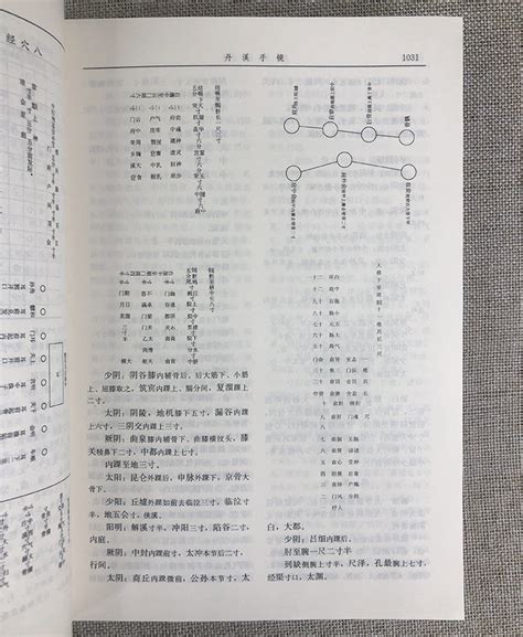 《金元四大家医学全书 全二册 总辑典藏版》 淘书团