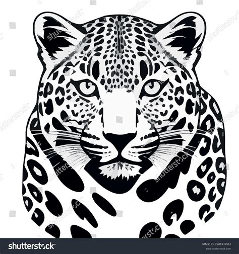 Leopard Head Drawing Vector Graphics Stock Vector (Royalty Free) 2281932943 | Shutterstock