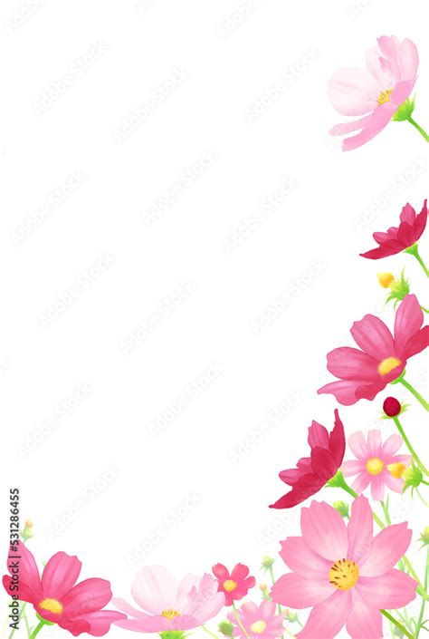秋桜（コスモス）のフレーム縦（白背景） Stock Illustration | Adobe Stock