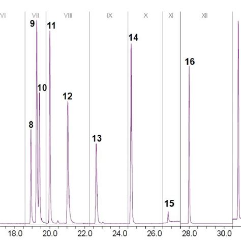 Gcei Ms Sim Chromatogram With Time Segments I Xiii Of The Standard Download Scientific