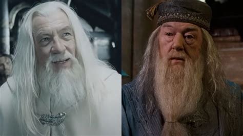 Gandalf And Dumbledore Frequently Get Mixed Up, And Ian McKellen ...