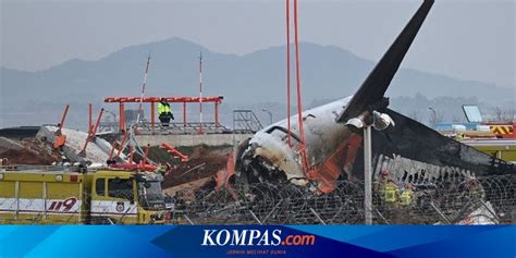 Dna Bebek Ditemukan Di Mesin Jeju Air Penyebab Kecelakaan Masih Misteri