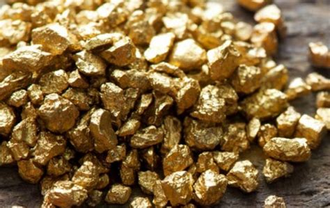 Observatorio Boliviano De Los Recursos Naturales El Oro Se Ubica Como