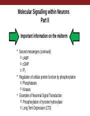 Lecture Molecular Signaling Within Neurons Part Pptx