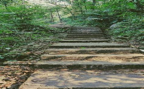 Living Root Bridge Cherrapunji, Entry Fee, Tourist Attraction