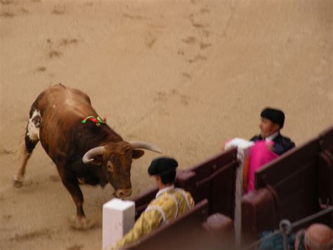 Bullfighting At Las Ventas Plus Ultra