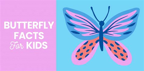 30 Butterfly Facts for Kids - Little Passports