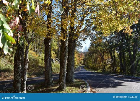 Skyline Drive - Shenandoah National Park Stock Image - Image of branch ...