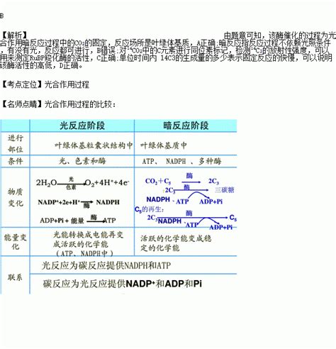 在光合作用中rubp羧化酶能催化co2c5→2c3为测定rubp羧化酶的活性某学习小组从菠菜叶中提取该酶用其催化c5与14co2的