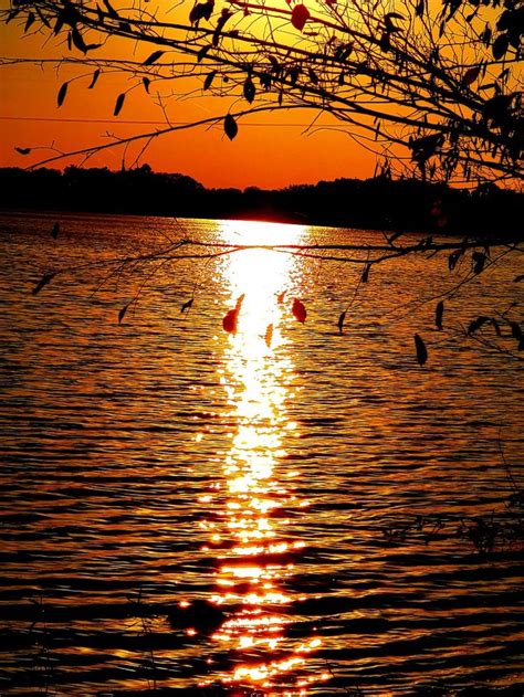 Birds Are Flying Over The Water At Sunset