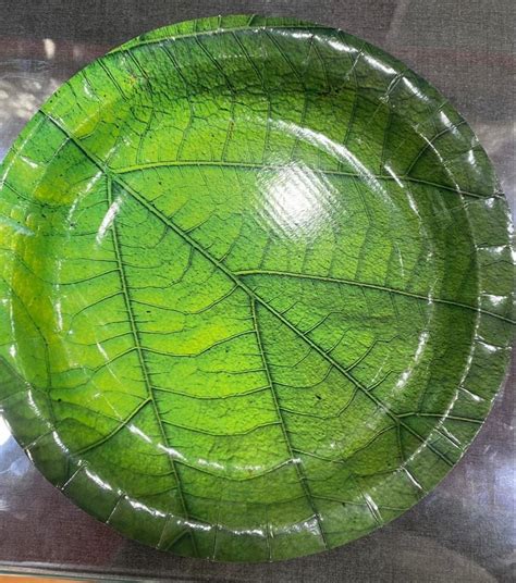 Inch Banana Leaf Paper Plate At Rs Pack In Meerut Id