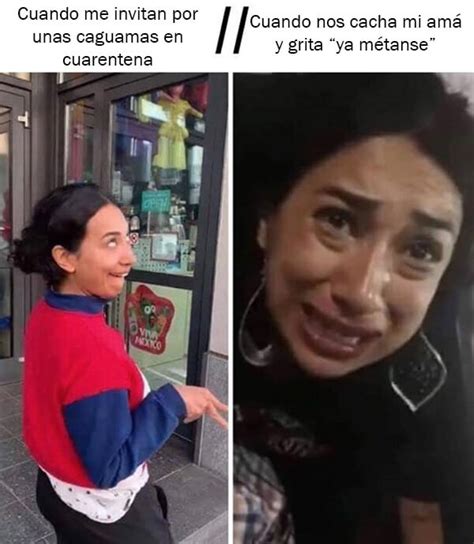 Flor Amargo Meme El Deforma Un No Ticiero De Verdad