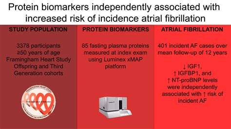 Protein Biomarkers And Risk Of Atrial Fibrillation Circulation