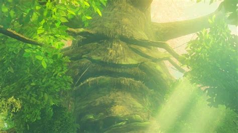 Tears Of The Kingdom Fan Theory Spells Bad News For Korok Forest