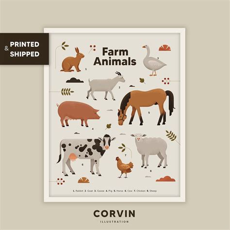 Farm Animals Poster Montessori Print Educational Nursery Wall Art