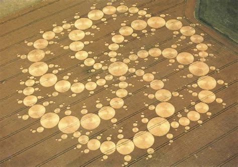 Whats The Story With Those Amazing Crop Circles