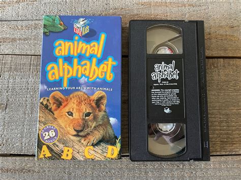 Animal Alphabet & Animal Numbers // Vintage VHS Learning Movies // Time ...