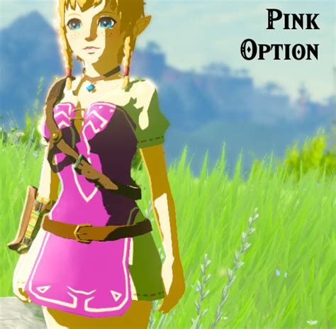 Linkles Champion Tunic As A Dress The Legend Of Zelda Breath Of The Wild Wiiu Mods