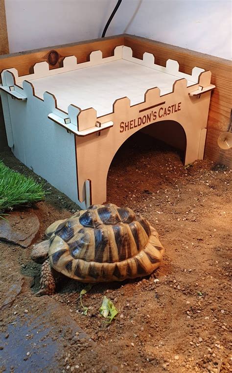 Personalised Tortoise House Etsy Uk