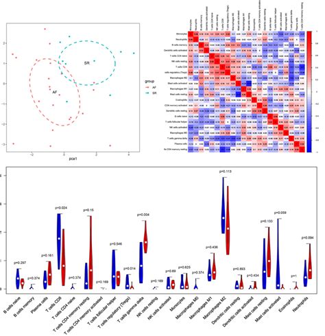 Visualization And Evaluation Of Immune Cell Infiltration A Principal