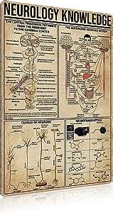 Amazon Jiufotk Neurology Knowledge Metal Tin Sign Doctor Anatomy