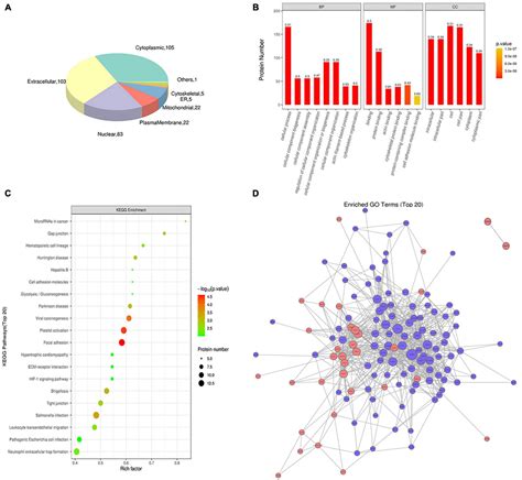 Frontiers Proteomics Analysis Of Exosomes From Patients With Active