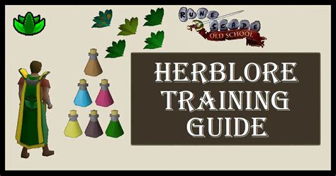 OSRS Herblore Training Guide | Levels 1-99