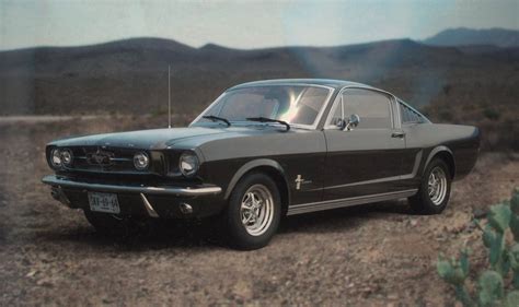 mustang  metricastudio