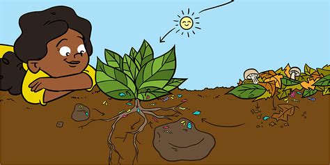 Bacteria Have Superpowers To Recycle Soil Nutrients Frontiers For