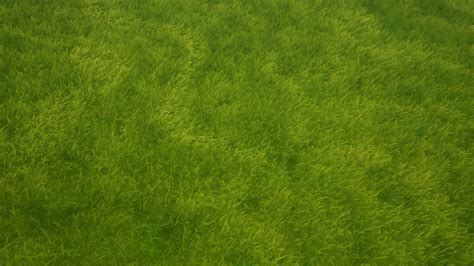 Stylized Grass Starter Pack In Props Ue Marketplace