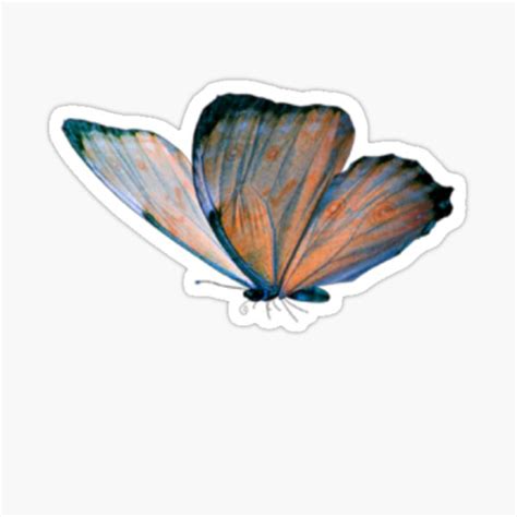 "Aesthetic colourful butterfly " Sticker for Sale by raghadazem26 ...