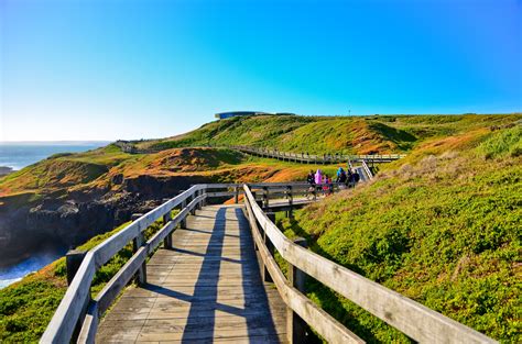 View Of The Coastline In Phillip Island Victoria Australia Sm