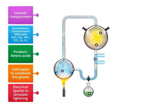 Miller-Urey Experiment - Labelled diagram