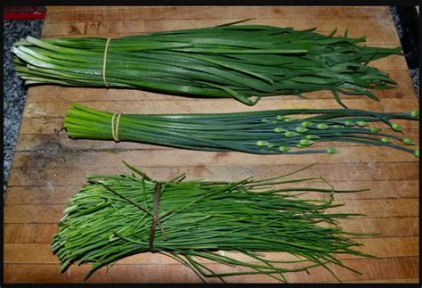 Where To Find Chives In Grocery Store Fast Food Justice