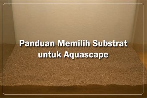 Panduan Memilih Substrat Aquascape: Jenis dan Kriteria - AQUAIR