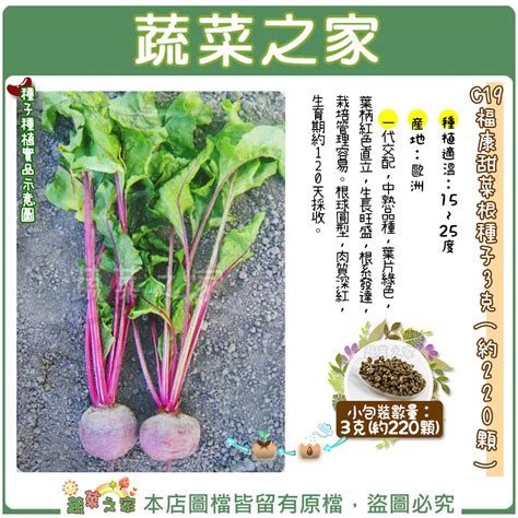 【蔬菜之家滿額免運】c19福康甜菜根種子3克約220顆一代交配，中熟品種，葉片綠色，葉柄紅色直立，生長旺盛 蝦皮購物