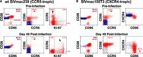 Cd4 ϩ T Cell Depletion Patterns In Ccr5 A Versus Cxcr4 Tropic B