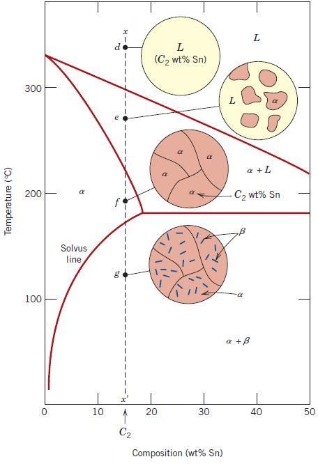 Solidification Precipitation And Microstructure Of A Lead Tin