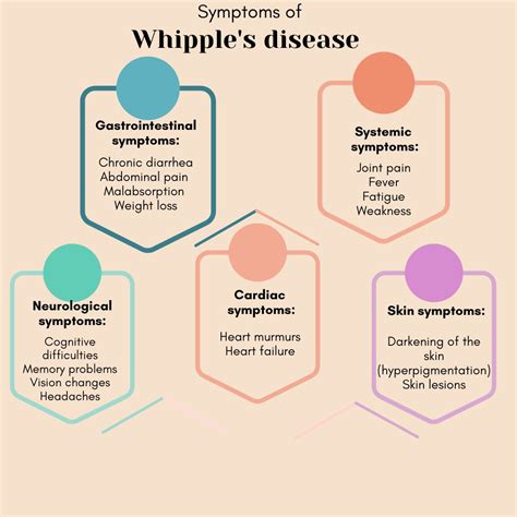 Whipples Disease Causes Risk Factors Symptoms Treatment