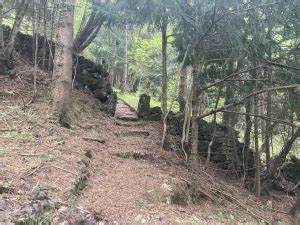 Archivi Itinerari Parco Dolomiti Friulane