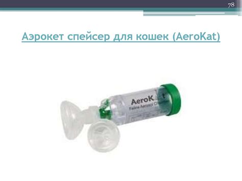 Болезни органов дыхания - презентация онлайн