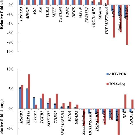 Validation Of Rna Seq Results Using Rt Qpcr The Transcript Expression