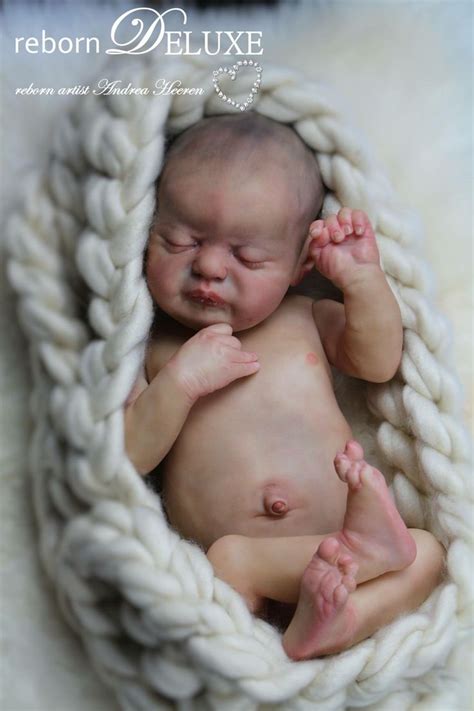 Reborn Doll Baby Americus By Laura Lee Eagles Reborned By Andrea Heeren