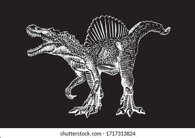 Graphical Sketch Spinosaurus Isolated On White Stock Vector Royalty