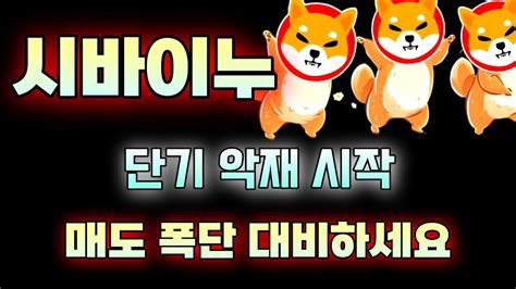 시바이누 코인 단기 악재 시작 매도 폭단 대비하세요 Youtube