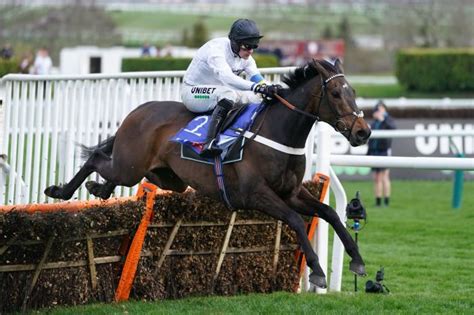 Michael Buckley hails Constitution Hill a 'special horse' after ...