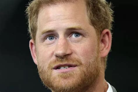 Prince Harry Won T Publish Memoir As There Will Be No Way Back For