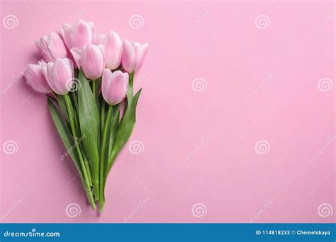 Beautiful Tulips For Mother`s Day Stock Image Image Of Blossom