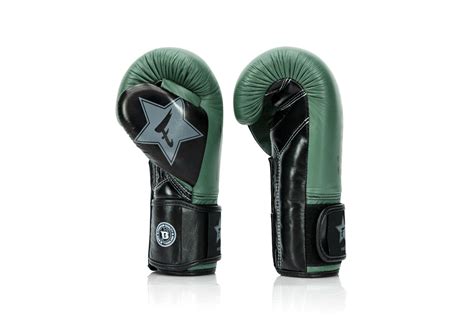 Fairtex Booster Rękawice Bokserskie FXB BG V2 GR BK BK Rękawice